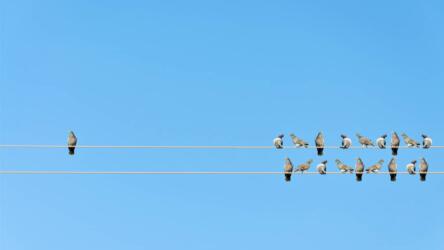 صعوبة الاندماج في ثقافة الشركة