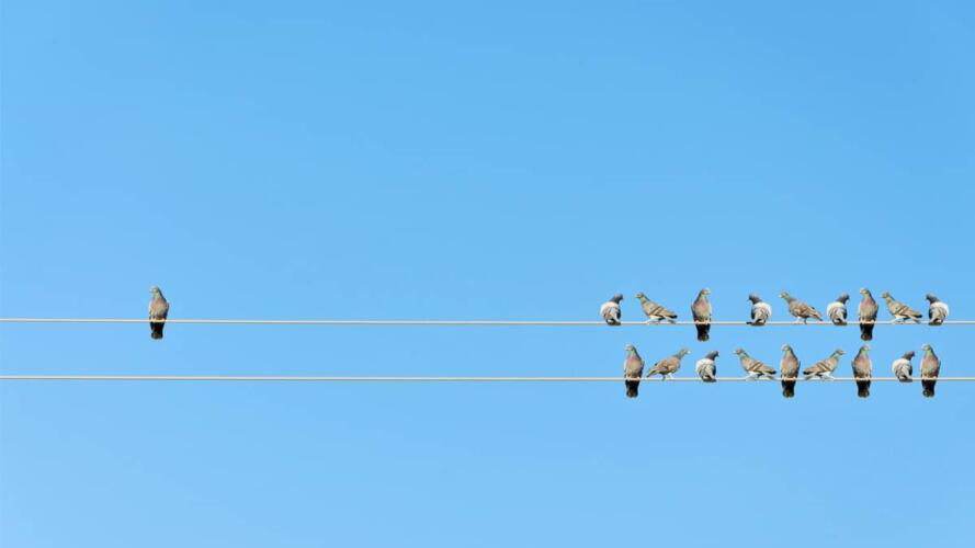 صعوبة الاندماج في ثقافة الشركة