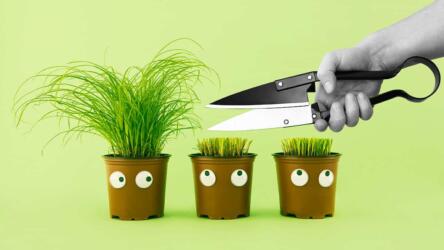 عمليات التسريح