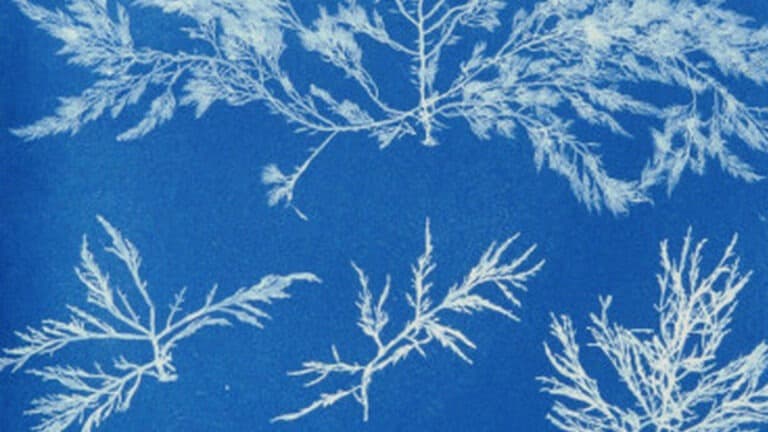 فئات عمل المستقبل