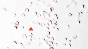 فرص توظيف النساء