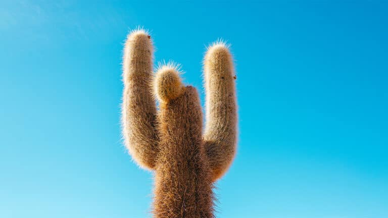 تعلم أن تكون قائداً أفضل