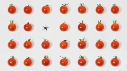 قرارات خفض التكاليف