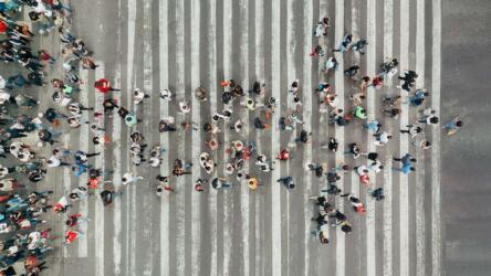 قيادة أصحاب المصلحة للاستراتيجية
