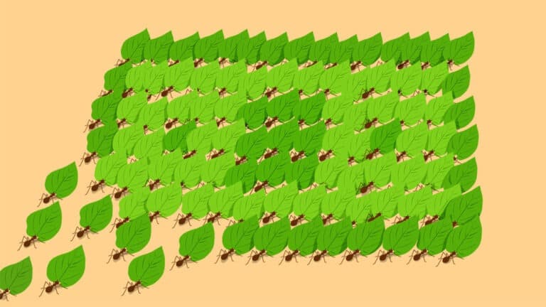 تنمية مهارات فريق المبيعات