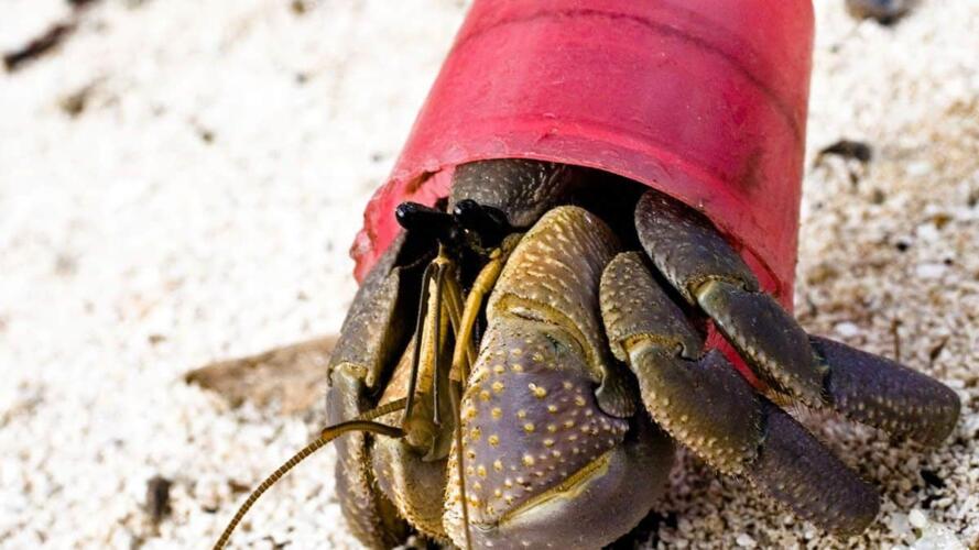 كيف تتولد الأفكار الابتكارية