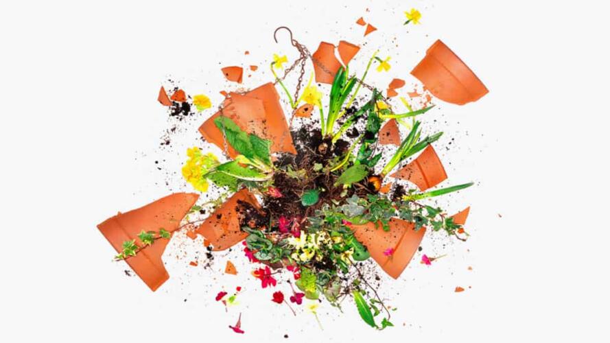 تخطيط مجالس الإدارة في الشركات للكوارث