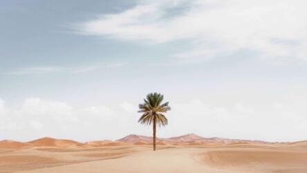 استغلال التغيير