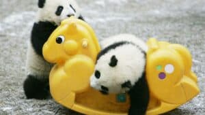 توجيه الآخرين نحو العمل المناسب