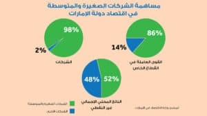 التنويع الاقتصادي والاستثماري في الإمارات