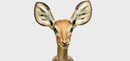 مهارات الإصغاء