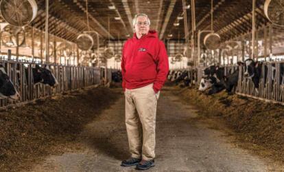 المقاييس المعيارية للاستدامة