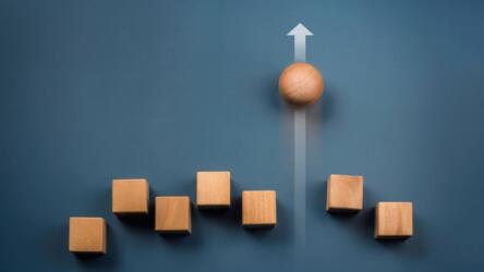 منظومة ريادة الأعمال