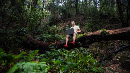 ظهور الرُّحل الرقميين