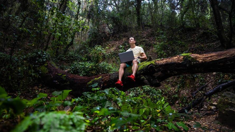 ظهور الرُّحل الرقميين