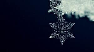 هيكل شبكة العلاقات