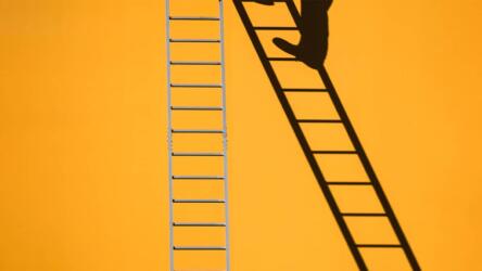 جودة الوظائف