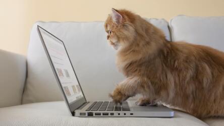 تحقيق أكبر فائدة من وكالات التسويق