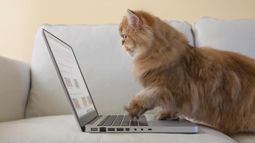 تحقيق أكبر فائدة من وكالات التسويق