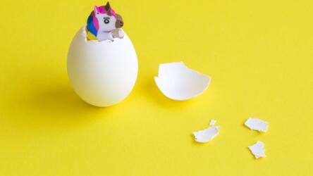 أهداف التنمية المستدامة