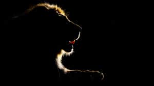 أسرار نقاط القوة