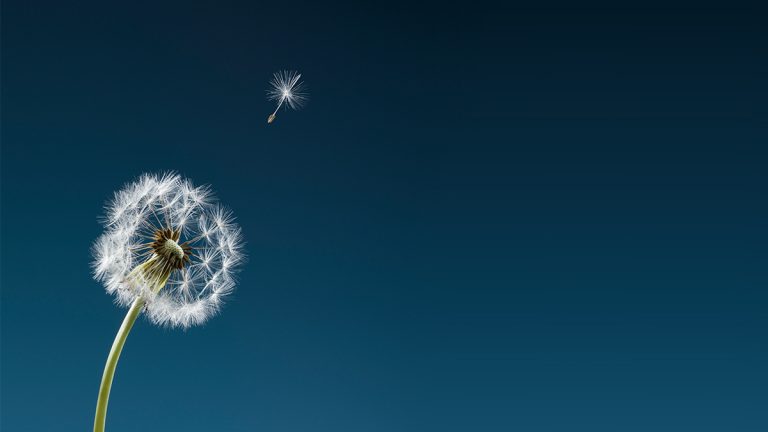 مبادرات المسؤولية الاجتماعية للشركات