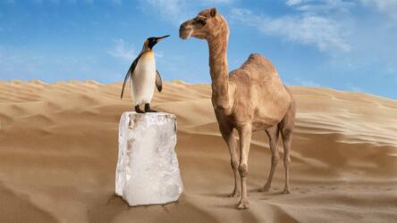 الصداقة بين الموظفين في العمل عن بعد