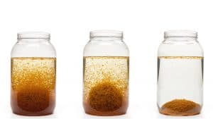 تجميع البيانات الصحيحة للشركات