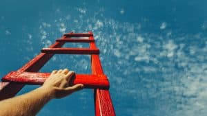 المسيرة المهنية الناجحة