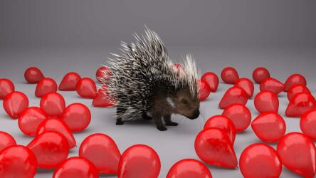 ثقافة الشركة