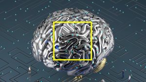 مجالات الذكاء الاصطناعي