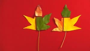 أفضل نهج لاتخاذ القرار