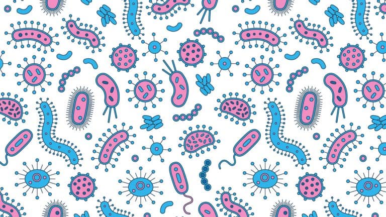 زيادة معدلات التطعيم