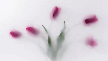 الصحة النفسية