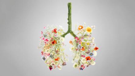 التغلب على تحديات التغير المناخي