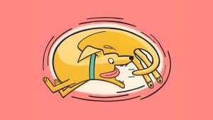 الصخب الإعلامي والشركات