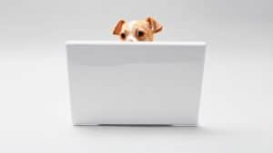 كيف تتواصل مع شخص