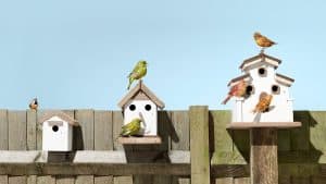 الفرق بين فريق عمل كبير وصغير