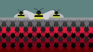 ما بعد عملية الاندماج والاستحواذ