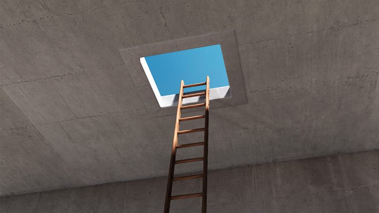 القيادة والاستمتاع بالحياة