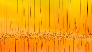 شراء خدمات الرعاية الصحية للموظفين