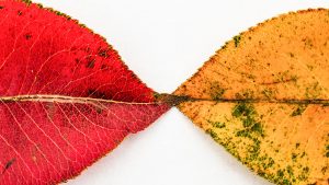 جعل الناس تتقبل التغيير