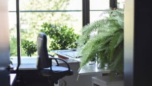 أهمية ضوء النهار في المكتب