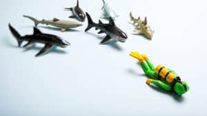 أهمية قائد المبيعات