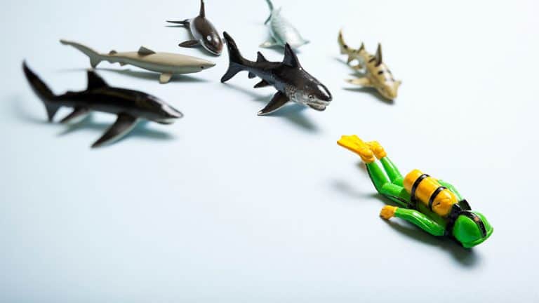 أهمية قائد المبيعات