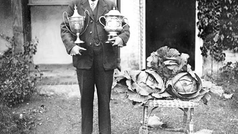 الرؤساء التنفيذيون والاستحواذ