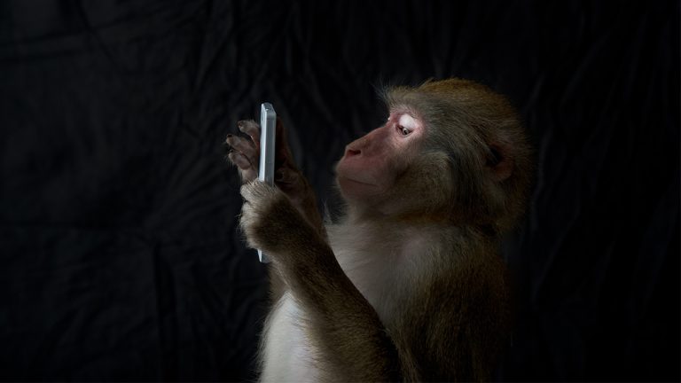 التغلب على الخوف من التواصل