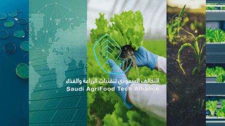 تحقيق الأمن الغذائي