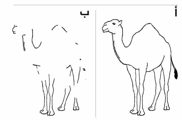 قوة الذاكرة الضمنية