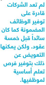 توفير الوظائف المضمونة